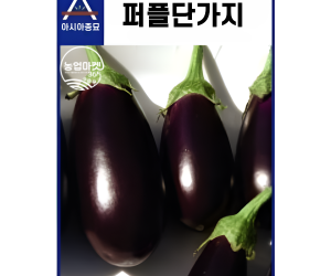 [아시아종묘] 가지 퍼플단가지 50립 [4,000원]