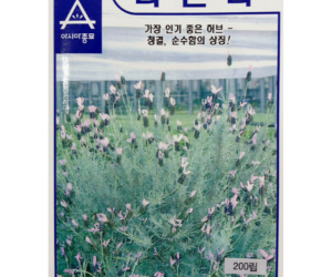 [아시아종묘] 허브 라벤다 200립 [4,000원]