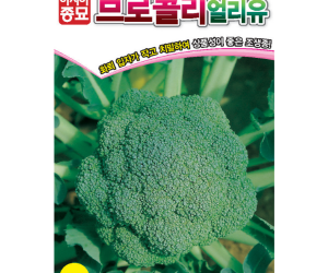 [아시아종묘] 브로콜리 얼리유 100립 [3,000원]