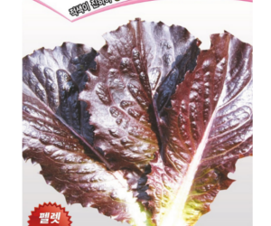 [아시아종묘] 상추 수퍼시저스레드(펠렛) 300립 [3,000원]