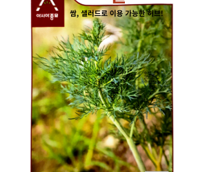 [아시아종묘] 허브 딜 700립 [4,000원]