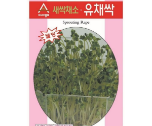 [아시아종묘] 유채-유채싹 30g [3,000원]