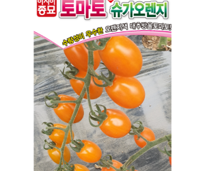 [아시아종묘] 방울토마토 신슈가오렌지 20립 [7,000원]
