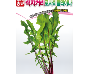 [아시아종묘] 치커리-로사이탈리아나-적 1500립 [3,000원]