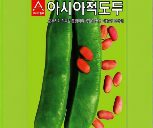 [아시아종묘] 아시아적도두 50g [9,000원]