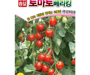 [아시아종묘] 방울토마토-베리킹 50립 [5,000원]