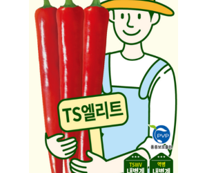 [아시아종묘] 고추 ts엘리트 30립 [5,000원]