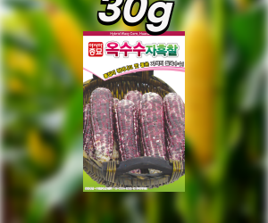 [아시아종묘] 옥수수 자흑찰옥수수 30g 700g
