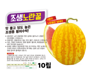 [아시아종묘] 수박-조생노란꿀수박 10립 200립