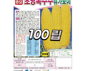 [아시아종묘] 초당옥수수-슈가보이 100립 [5,000원]