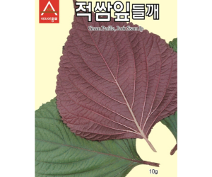 [아시아종묘] 적쌈잎들깨 10g (약 2800립) [2,000원]