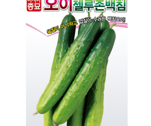 [아시아종묘] 오이 젤루존백침 30립 [4,000원]