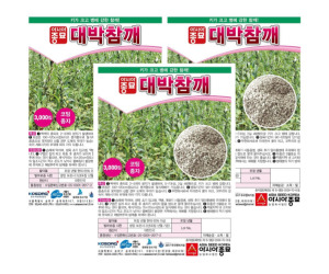 [아시아종묘] 대박참깨 3000립 코팅 [45,000원]
