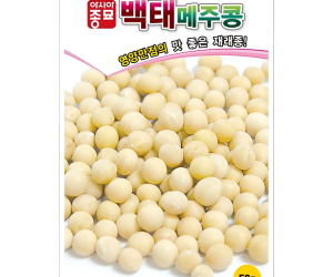 [아시아종묘] 백태 (메주콩) 50g [4,000원]